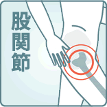 股関節