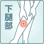 下腿部